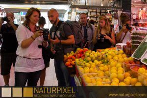 naturpixel_gracia_020